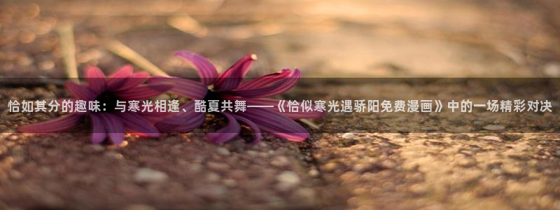 动漫漫画之家：恰如其分的趣味：与寒光相逢、酷夏共舞——《恰似寒光遇骄阳免费漫画》中的一场精彩对决