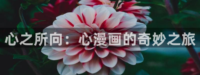 漫画之家官网_漫画之家韩漫：心之所向：心漫画的奇妙之旅